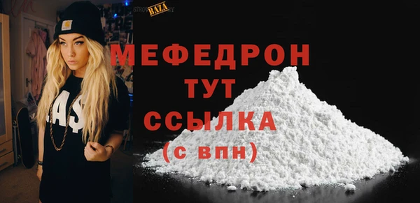индика Медвежьегорск