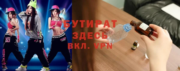 индика Медвежьегорск