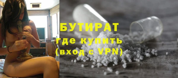 индика Медвежьегорск