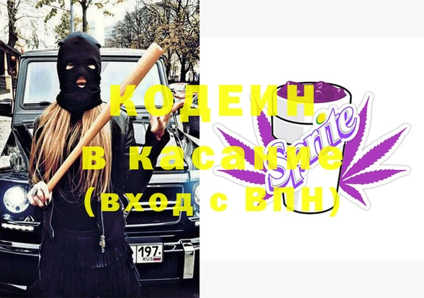 индика Медвежьегорск