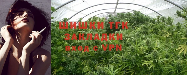 сатива Мегион