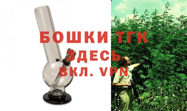 сатива Мегион