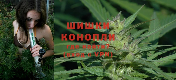 индика Медвежьегорск