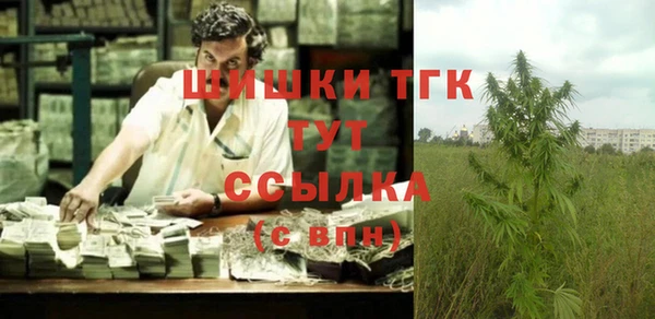 индика Медвежьегорск