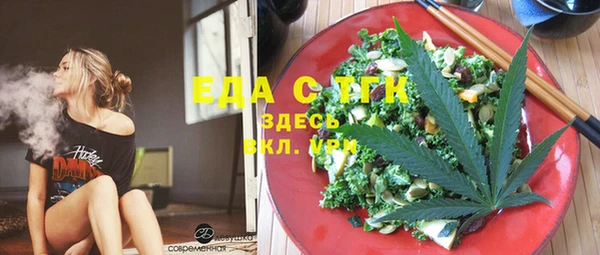 индика Медвежьегорск