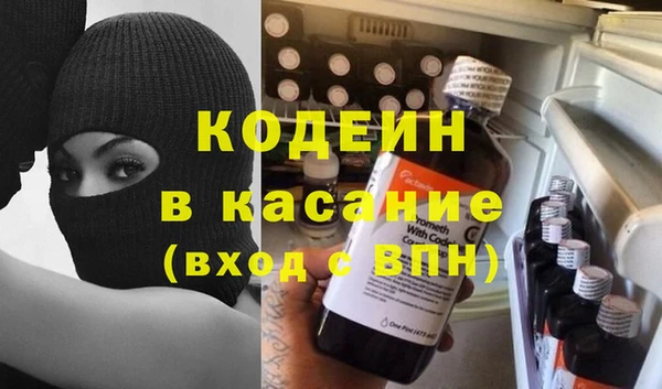 индика Медвежьегорск
