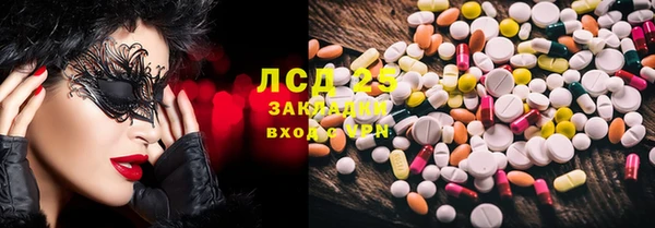 индика Медвежьегорск