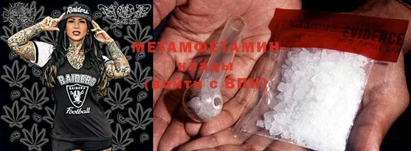 индика Медвежьегорск