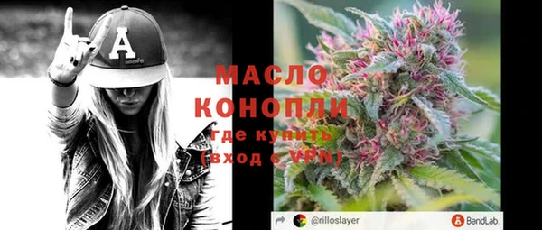 индика Медвежьегорск