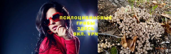 индика Медвежьегорск