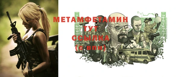 индика Медвежьегорск